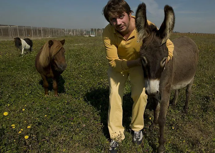 Corte Arcangeli Hotell 3*